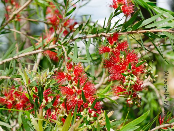 Sami Abdulrahman Parc, Kurdistan, Irak