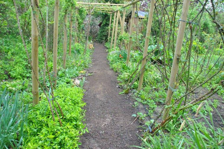 Jardin privé d'André Ève. Les pergolas. ©Malorie Hicorne.