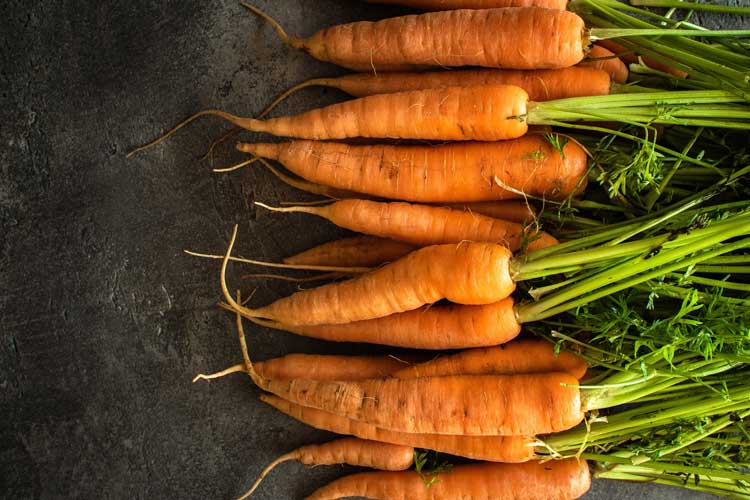 Carottes_nantaises-Depositphotos_270924052_L Carotte nantaise