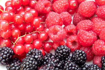 fruits rouges