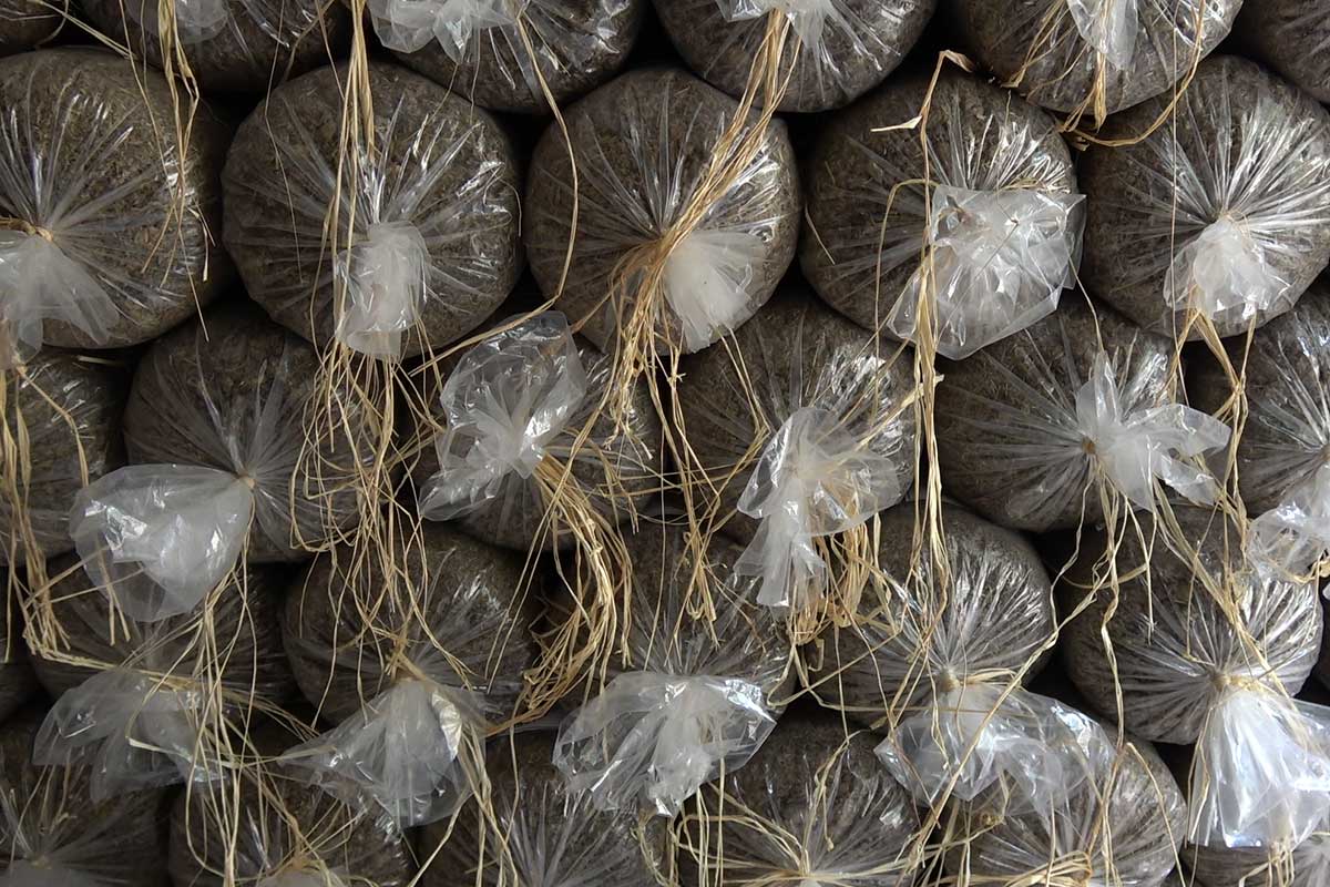 hf-tonnerre-dengrais-prod_1 Tonnerre d'engrais