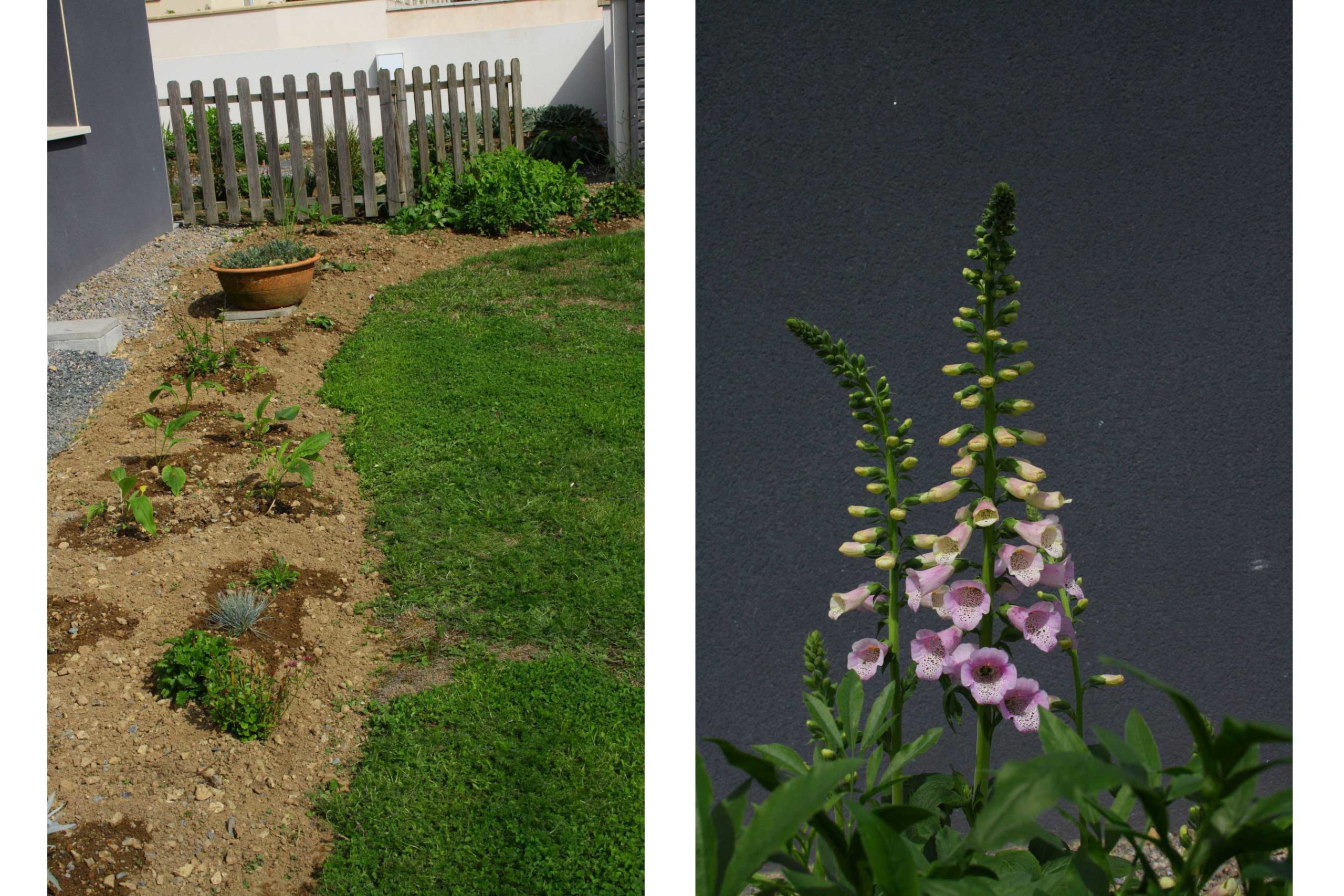 Jardin des Tannières