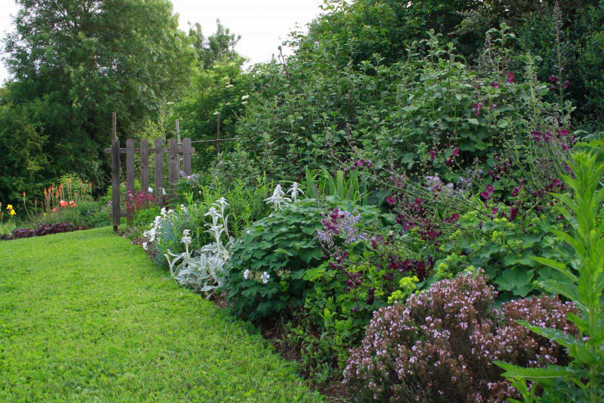 L'été : jardin de Tannières
