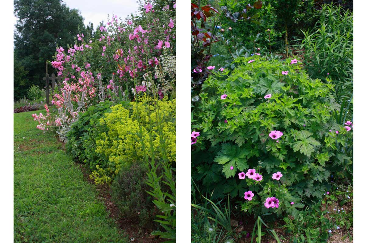 Jardin des Tannières : Été