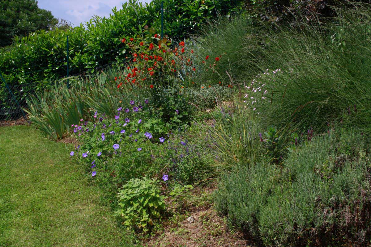 Jardin des Tannières : ÉtéJardin des Tannières : Été
