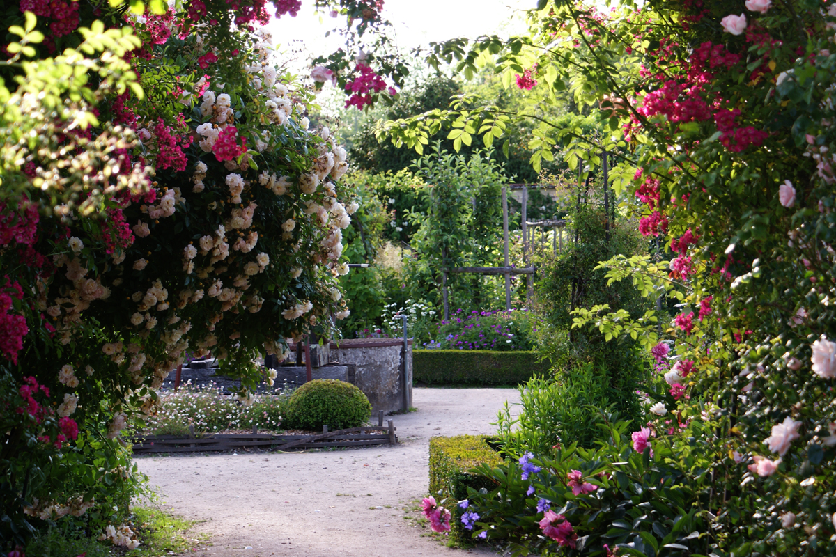 Puits et roses - jardin du Chateau de la Bussière