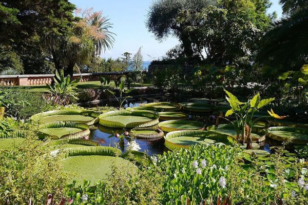 val_ramheh2-gossipguy Val Rahmeh