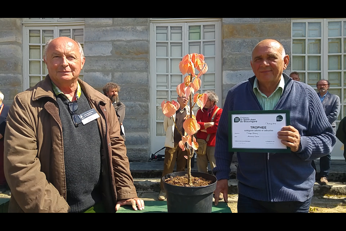 Trophées arbres et arbustes