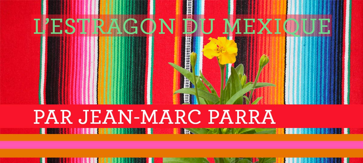 L'estragon du mexique par jean-marc parra