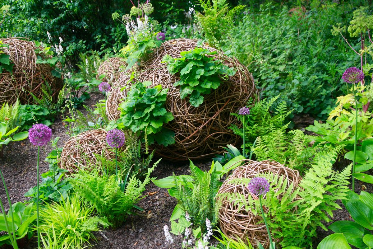 Chelsea Flower Show