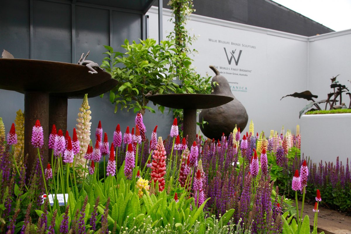 Chelsea Flower Show