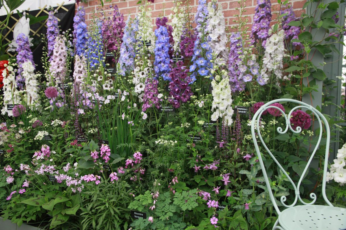 Chelsea Flower Show