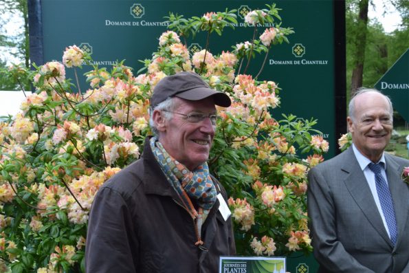 Rhododendron 'Cannon's Double' - Le Portail Enchanté