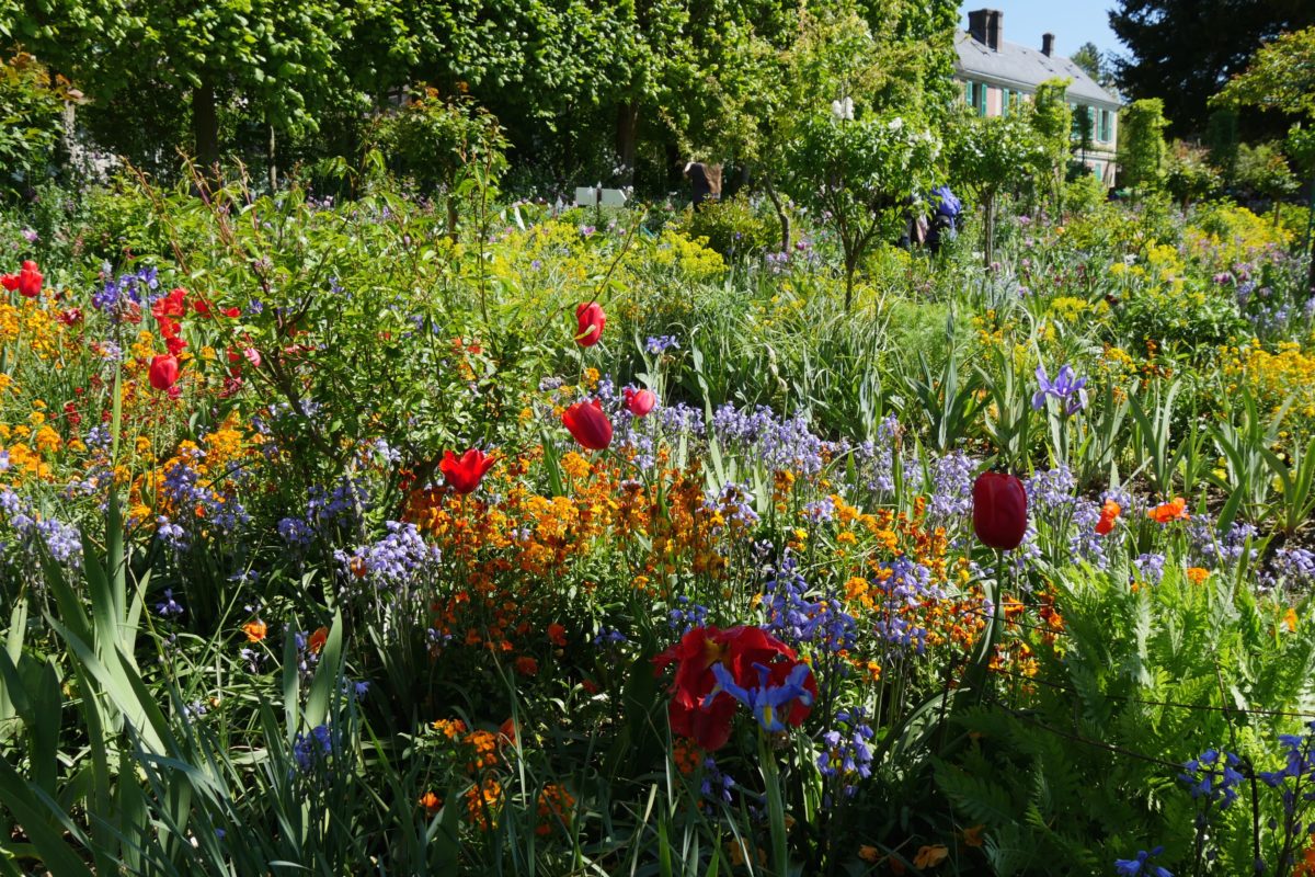 Giverny - le clos normand - printemps - isabelle Morand Giverny au printemps - Hortus Focus