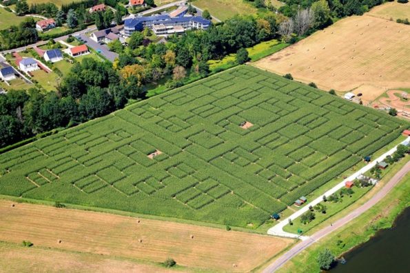 Les labyrinthes végétaux partout en France : Beaugency