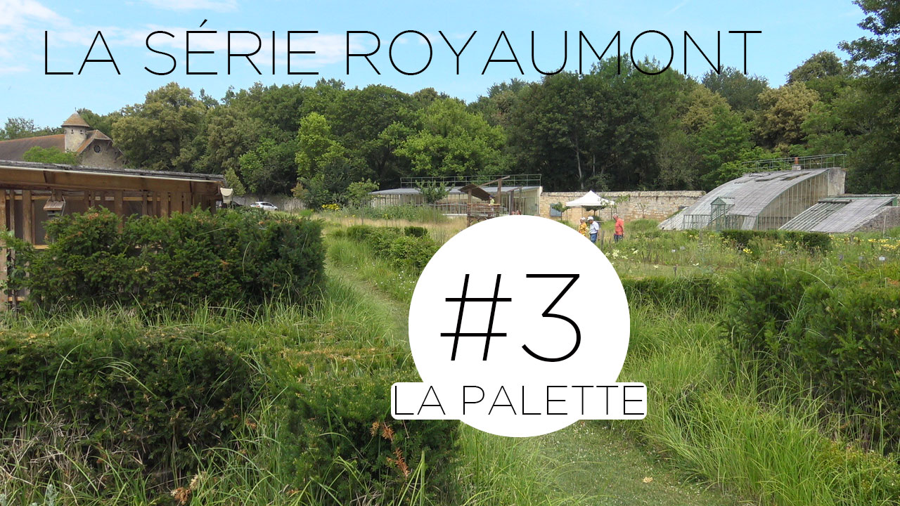 troisième épisode de la série sur le potager de l'Abbaye de Royaumont