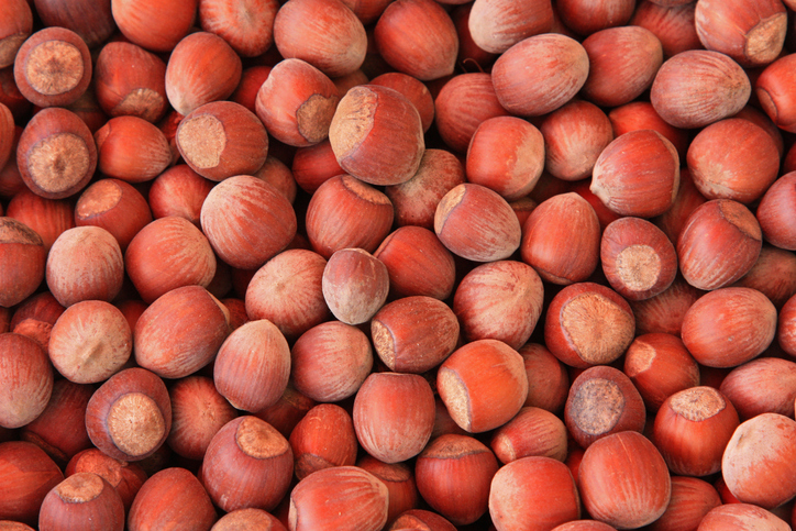 noisette iStock-474977539 ©Catuncia