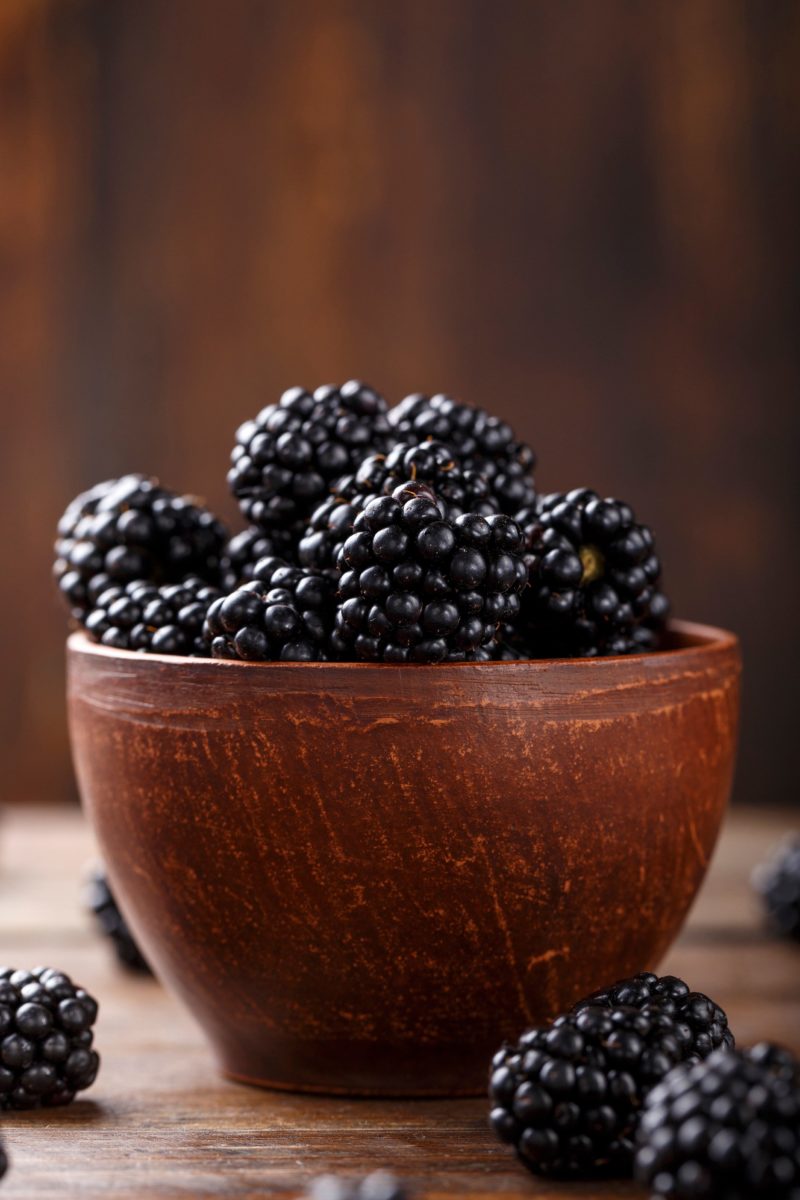 murier - mure - bol - rubus fruticosus - Sanny11 Rubus fructicosus - mûres