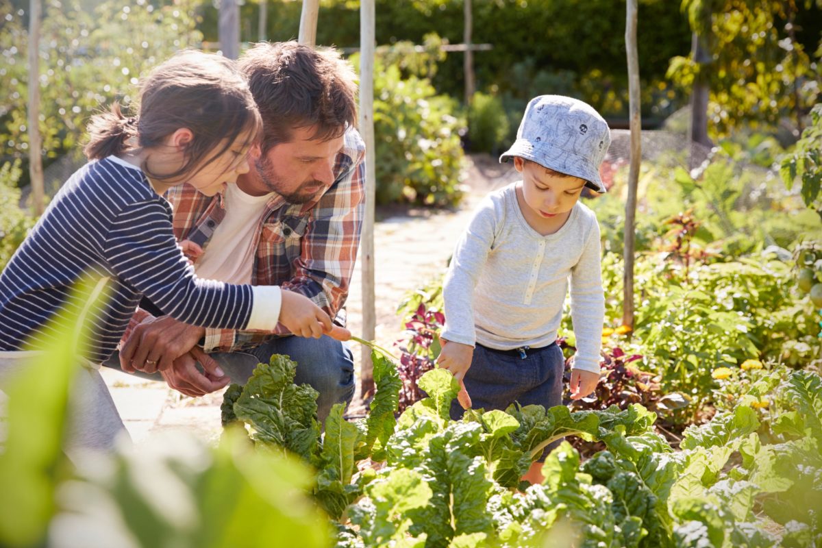famille - potager - monkeybusinessimages .jpg Une famille au potager