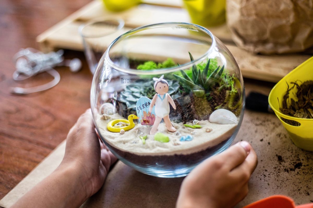 mini-paysage : cactus et succulentes... plage