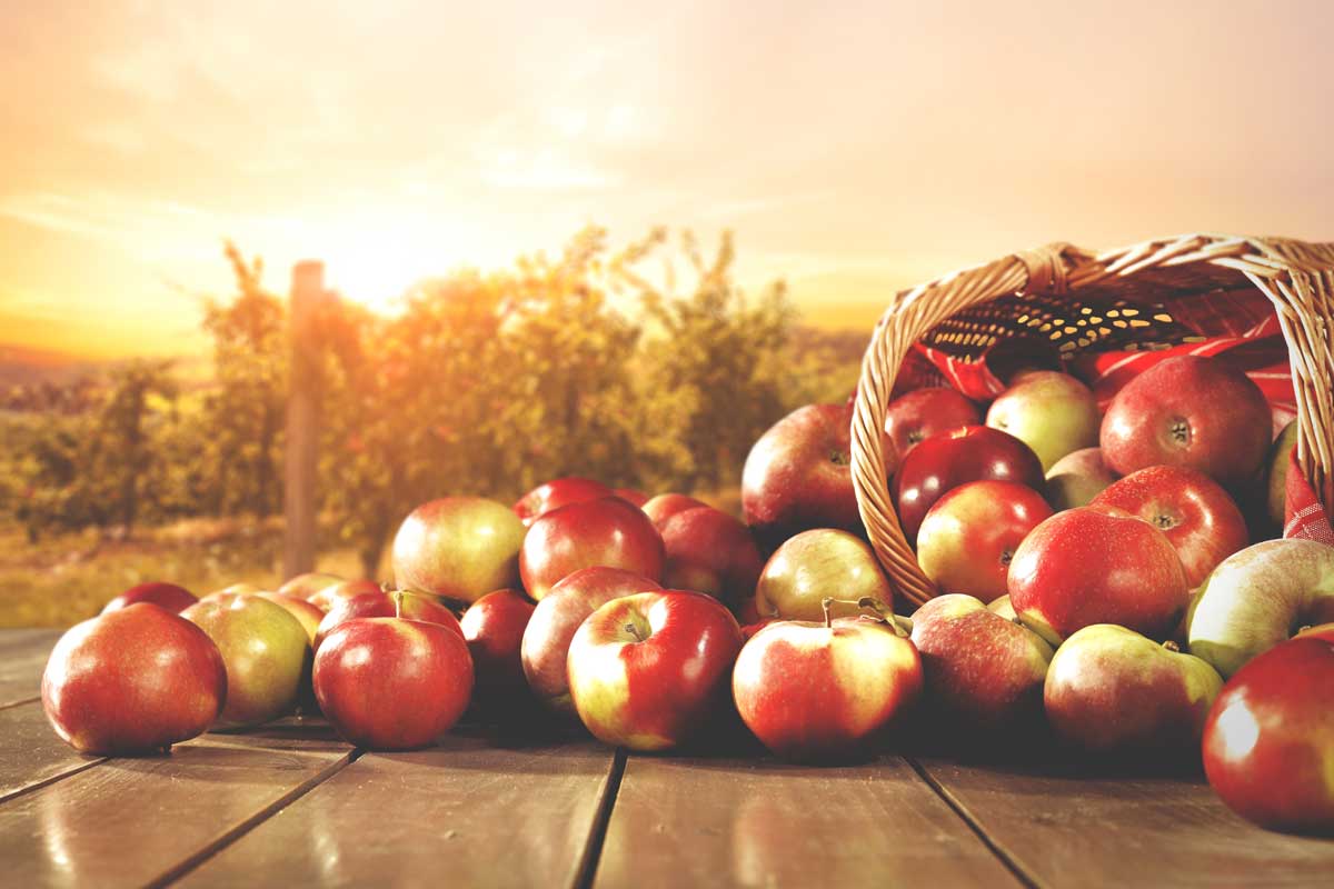 Pommes
