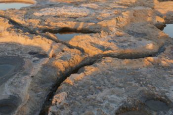 Saline Anfeh - Hortus Focus