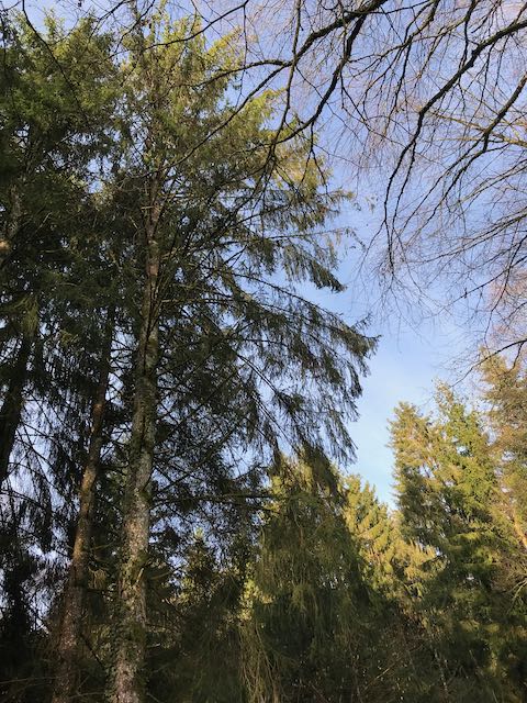 Parc Naturel du Morvan Nature : Parc Naturel du Morvan