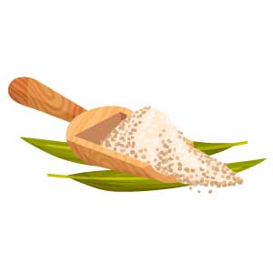 Mojito : Sucre de canne