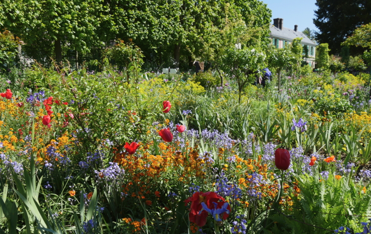 P1260027 Giverny - le clos normand - printemps-Edit Giverny au printemps - Hortus Focus