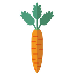 sucre : carotte