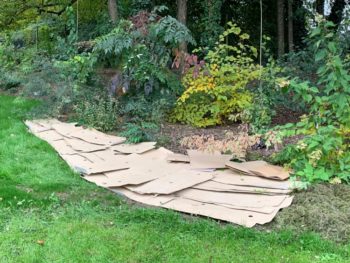 Massif permaculture - Hortus Focus