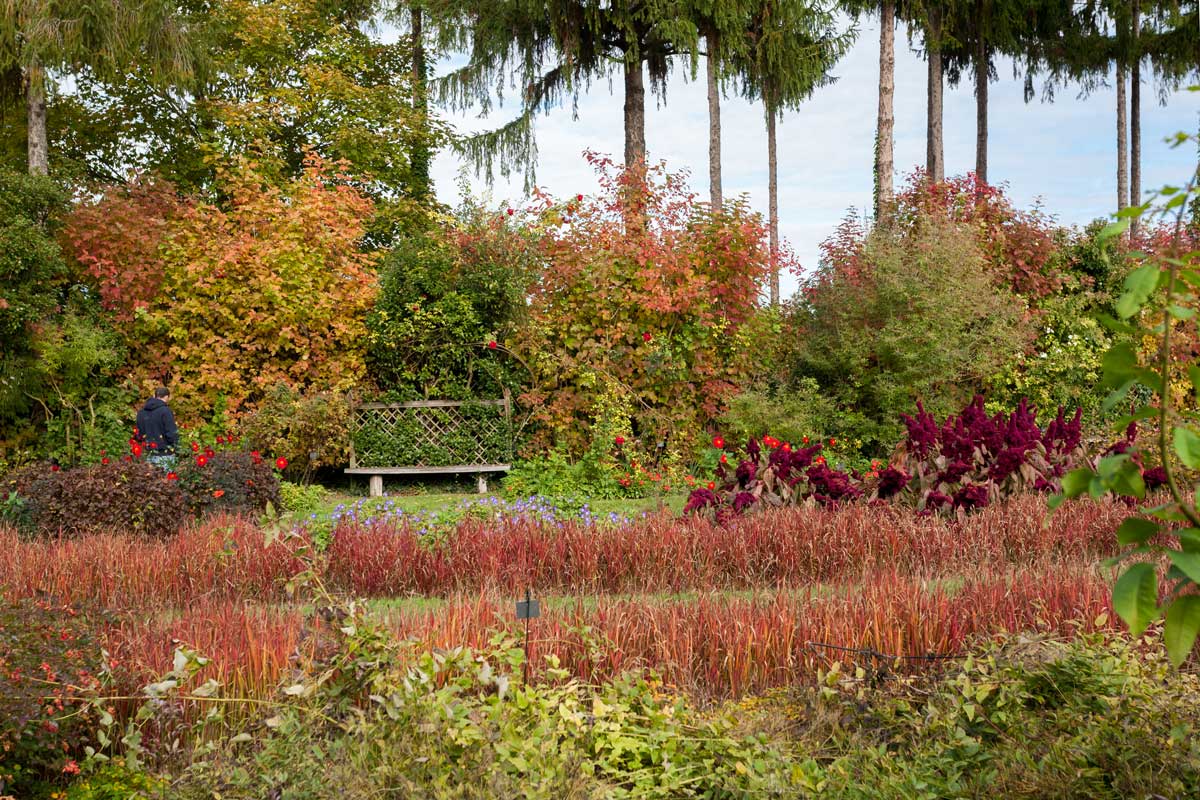 Chateau du Rivau : automne