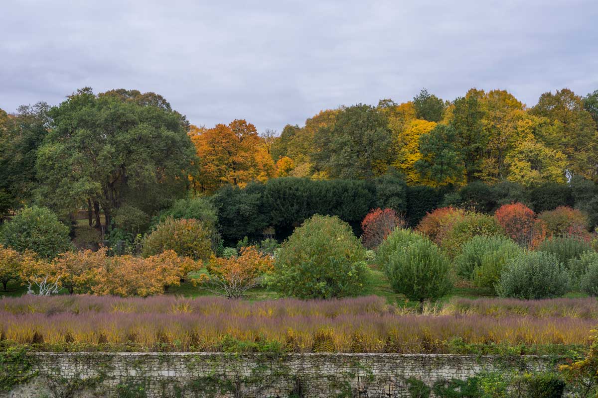 Chateau du Rivau : automne