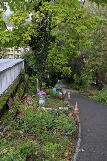 Le jardin de Robin - Hortus Focus