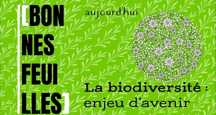 biodiversité : en jeu - bonnes feuilles