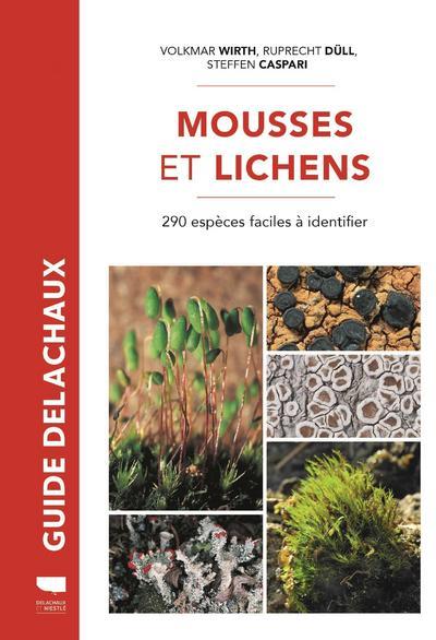 arbres : mousses et lichens