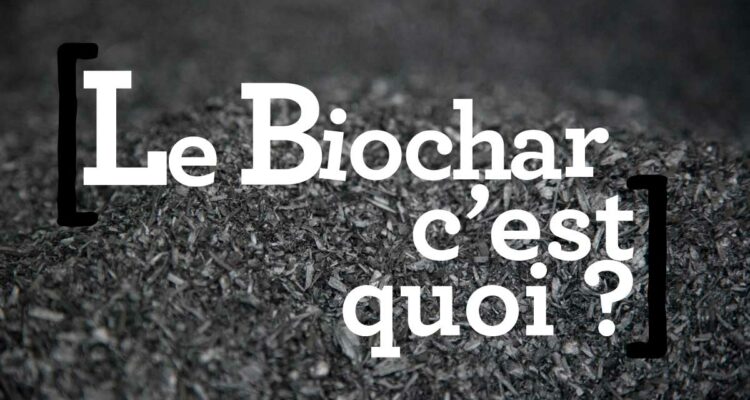 Biochar