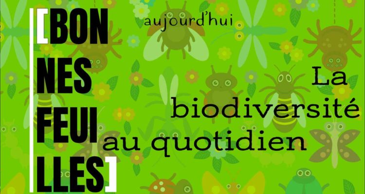 La biodiversité au quotidien : bonnes feuilles