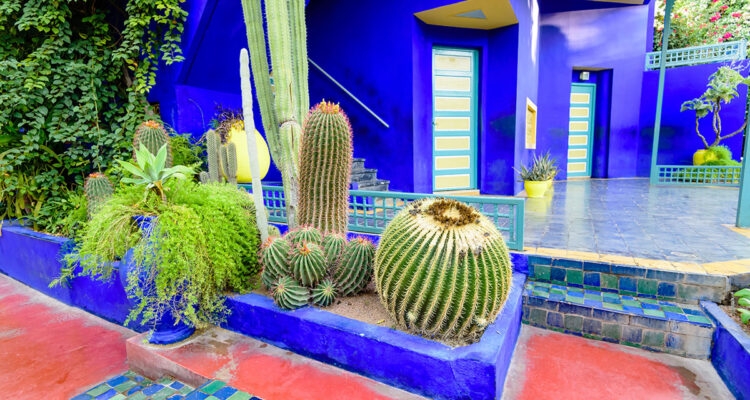jardin Majorelle