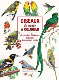 Oiseaux du monde