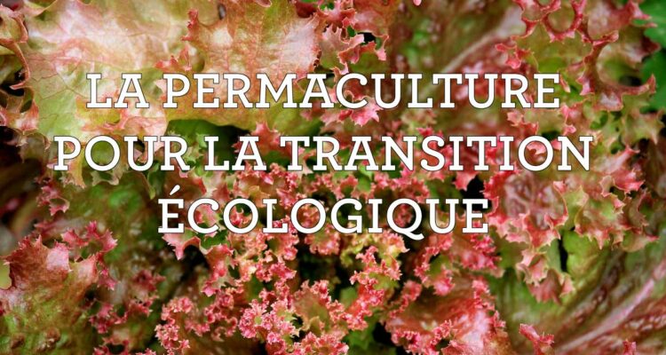 Permaculture