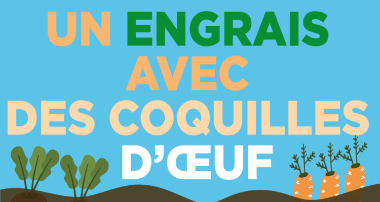 engrais avec des coquilles