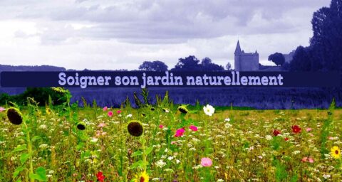 Prenre soin du jardin naturellement