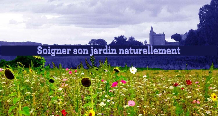 Prenre soin du jardin naturellement