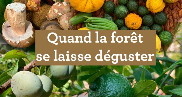 Forêt comestible