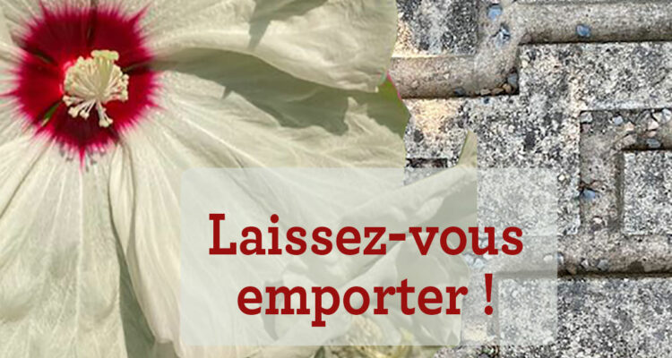 Labyrinthes aux 1000 fleurs :