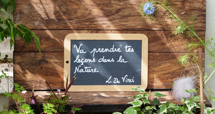 calendrier lunaire du 13 juillet