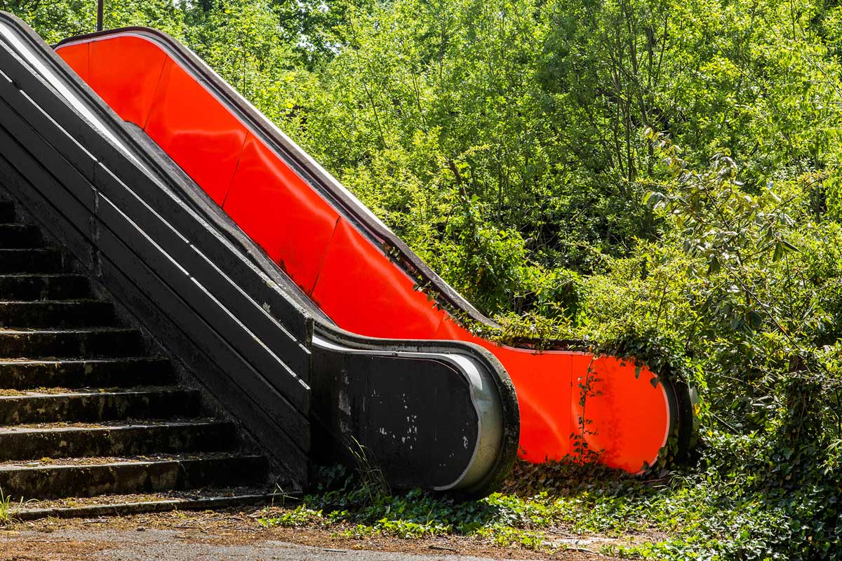 Jonk - Hippodrome - France