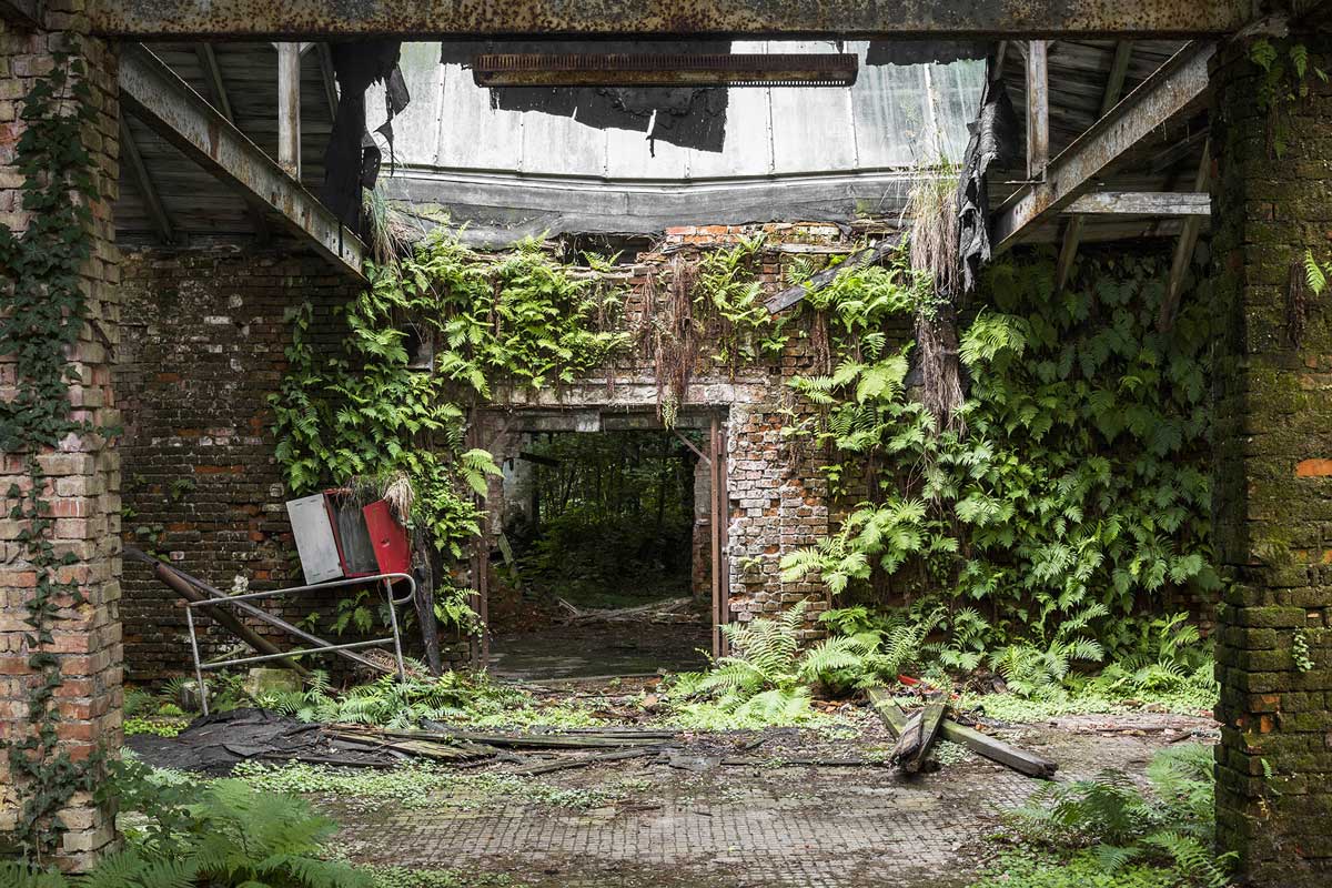 Jonk - Usine - Allemagne