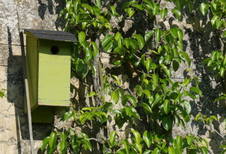 P1260055 Versailles - Potager du Roi -nichoir dans verger-Edit Potager du Roi ©Isabelle Morand